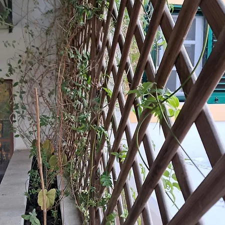 Apartman Bela Vista *