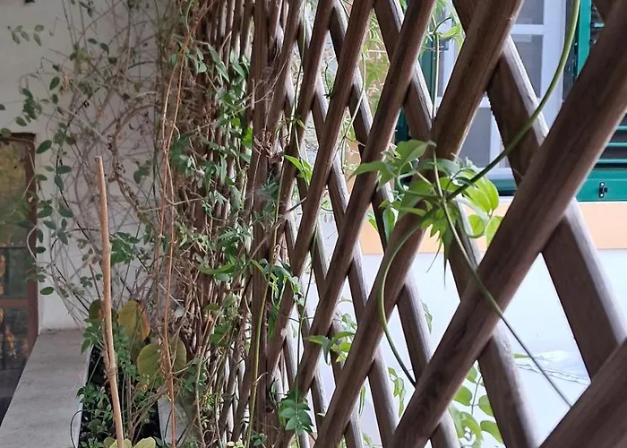 Apartmán Bela Vista *